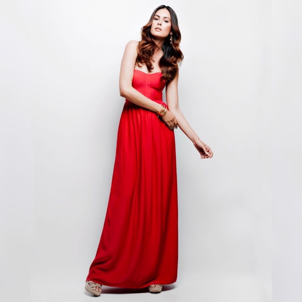Parker floor length dress great for black tie